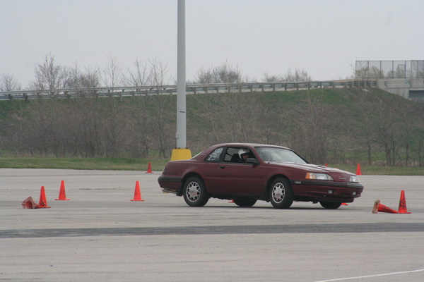 IMG_6631.jpg