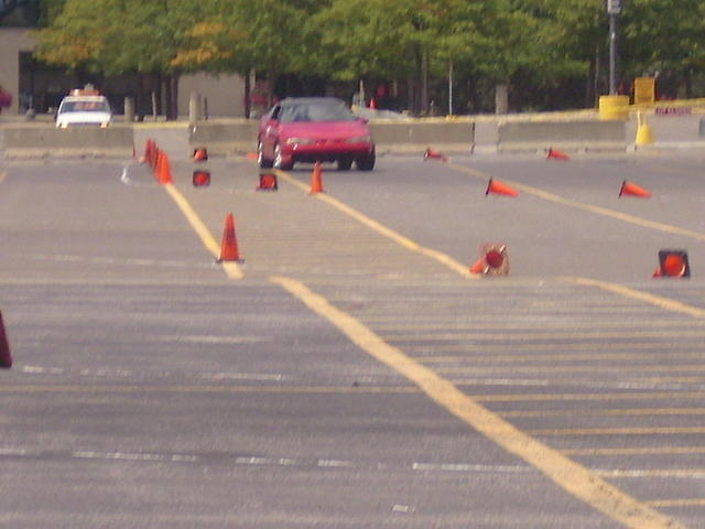 DSCI0430.jpg