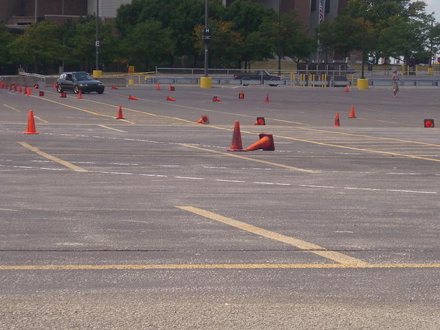 DSCI0442.jpg