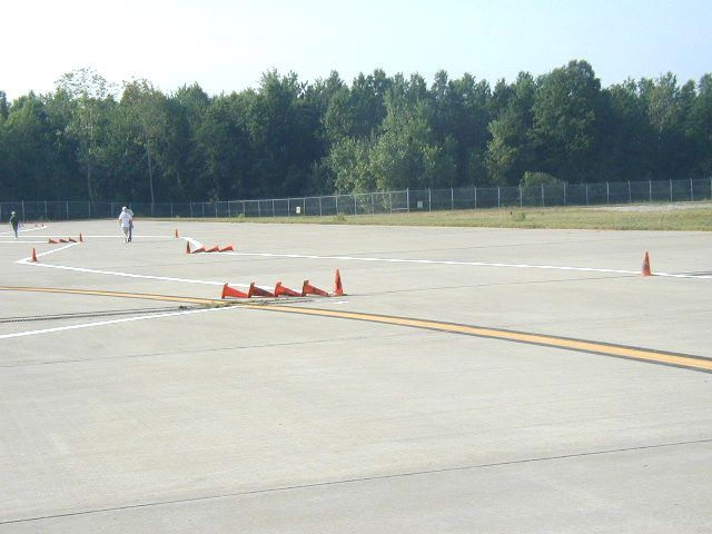 P1010004_1.jpg