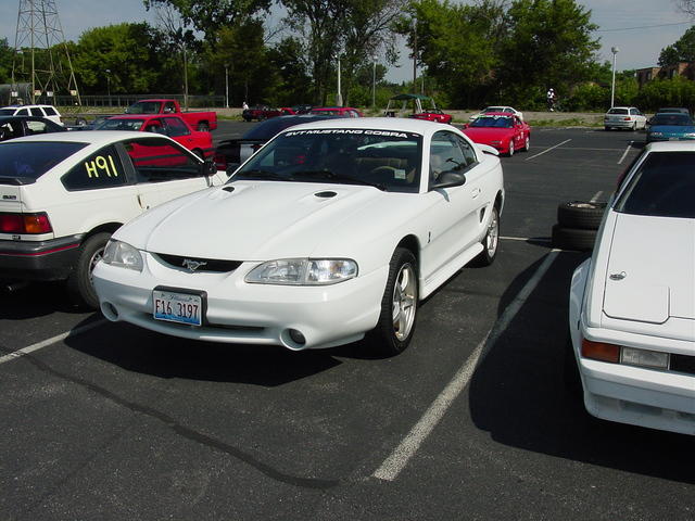 DSC00724.jpg