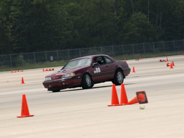 P6137737 _640x480_.jpg