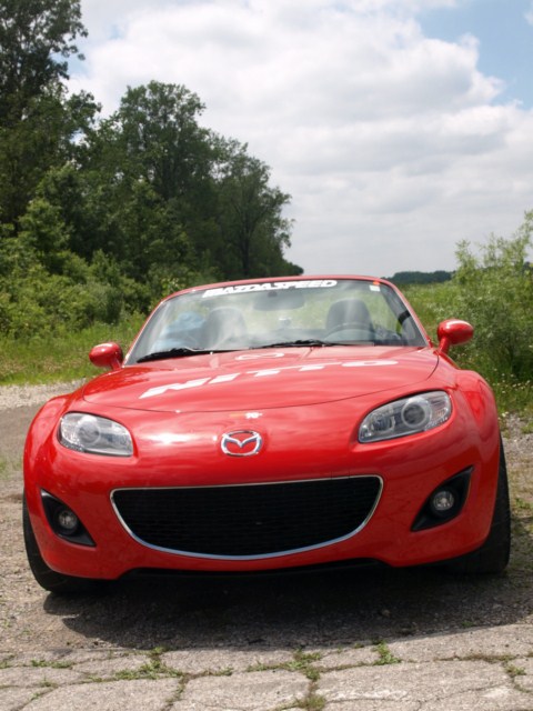 P6137774 _640x480_.jpg
