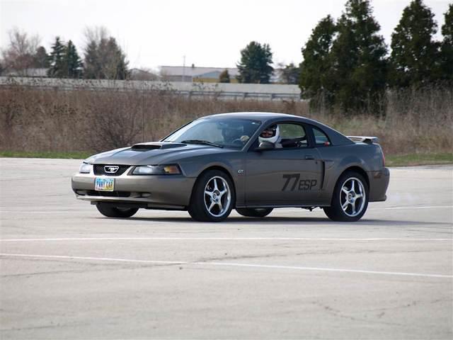 tmp_13_E1_054.JPG