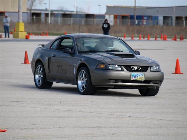 tmp_13_E1_059.JPG
