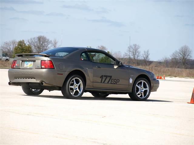 tmp_13_E1_316.JPG