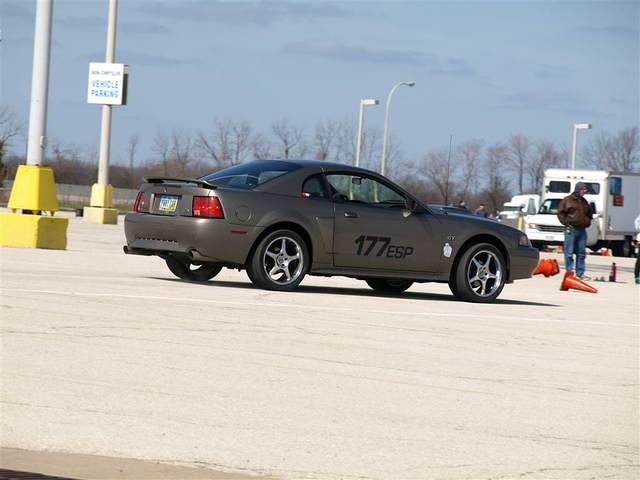 tmp_13_E1_317.JPG
