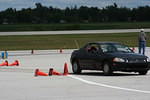 IMG_4125.jpg