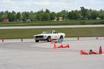 IMG_4230.jpg