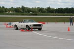 IMG_4231.jpg