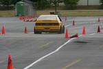 IMG_5375.jpg
