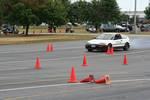 IMG_5423.jpg