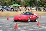 IMG_5456.jpg