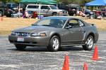 IMG_5466.jpg