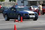 IMG_5505.jpg