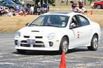IMG_5532.jpg
