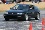IMG_5555.jpg