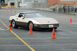 DSC_2424-68.jpg