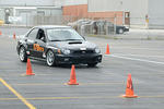 DSC_2495-139.jpg