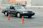DSC_2503-147.jpg