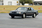 DSC_2534-178.jpg