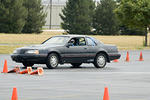 DSC_2565-209.jpg