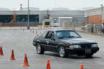 DSC_2626-270.jpg