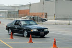 DSC_2723-367.jpg