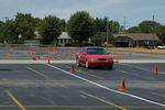 DSC_2836-480.jpg