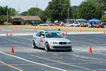 DSC_2846-490.jpg