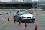 DSC_2880-524.jpg