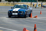 DSC_2938-582.jpg