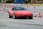 DSC_2981-624.jpg