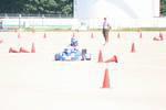 IMG_5845.jpg