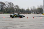 IMG_6372.jpg