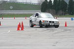 IMG_6403.jpg