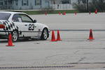 IMG_6450.jpg