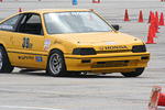 IMG_6463.jpg