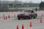 IMG_6633.jpg