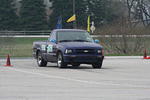 IMG_6678.jpg