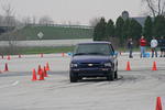 IMG_6681.jpg