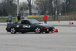 IMG_6698.jpg