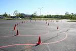 IMG_6781.jpg