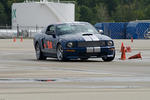 TAE Sept 08-107.jpg