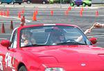 Img_1446_2.jpg