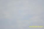 Toledo National Tour Fri-Sat-180.jpg