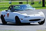 Fostoria Oct 11-355.jpg
